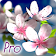 Spring Flowers 3D Parallax Pro icon