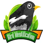Cover Image of Download Bird Identification  APK