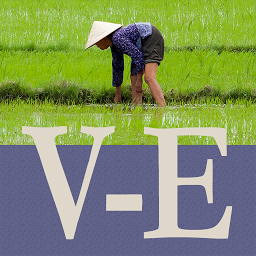 Icon image CJKI Vietnamese-English Dict.
