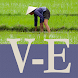 CJKI Vietnamese-English Dict. - Androidアプリ
