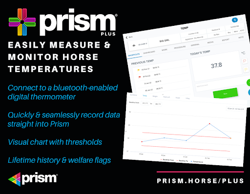 Prism Plus Tablet Screen 2