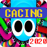 Game Cacing 2020 Worm Zone.io Crawl Cacing alaska