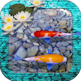 3D Fish Pond Live Wallpaper icon