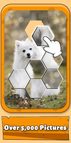 Jigsorting Relax Puzzle - Screenshot 3
