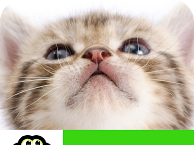 [10000印刷√] かわいい 猫 スタンプ 無料 789885