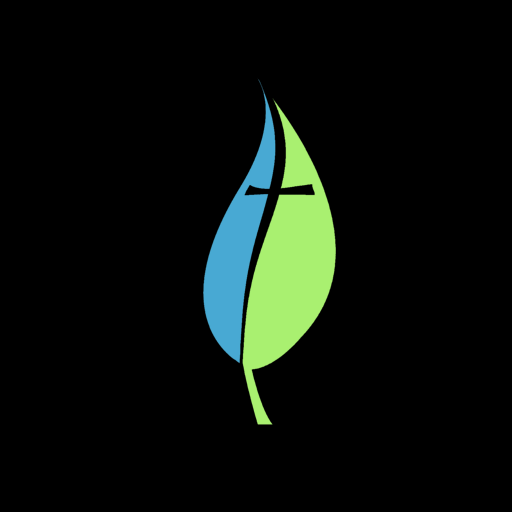 Lifespring Baptist logo