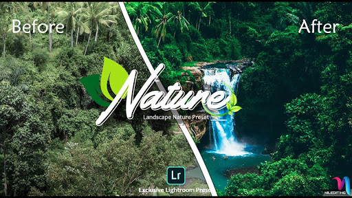 DNG Preset for lr mobile Screen 2