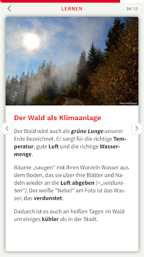App ins Holz Screen 3