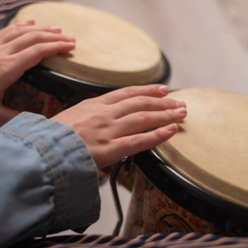 Bongo Drum Sounds logo