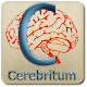 Cerebritum