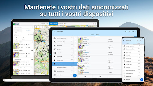 Immagine screenshot