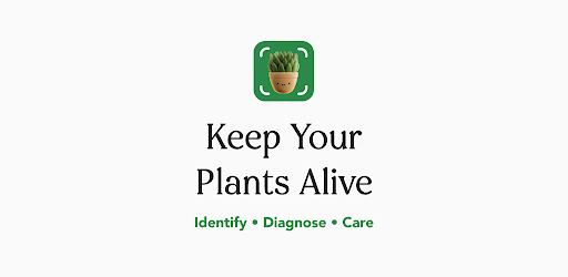 Plant Care: Plant Identifier