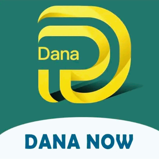 Dana Now Pinjaman Online Guide