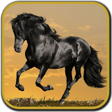 Horse Pictures icon