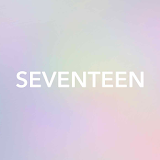 SEVENTEEN LIGHT STICK VER2( 세븐틴 라이트 스틱 버전2 ) icon