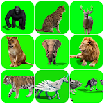 Cover Image of Tải xuống FX Animals Green Screen Effect Videos - VFX Video 1.0.0 APK