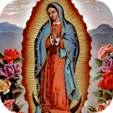La Virgen Guadalupe Historia icon
