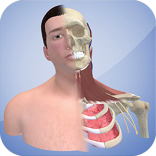 3D Cervical Dystonia Download on Windows
