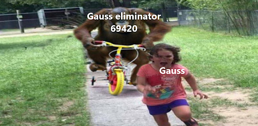 Gauss Eliminator 69420
