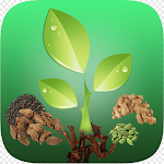 Cover Image of Herunterladen Natural Herbs Benefits  APK