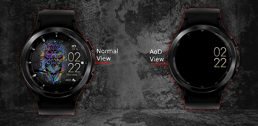 Color Owl Watch Face Wear OS Screen 2