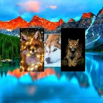 Cover Image of Download Animals wallpapers  APK