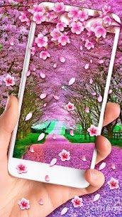 Romantic Sakura Live Wallpaper For PC installation