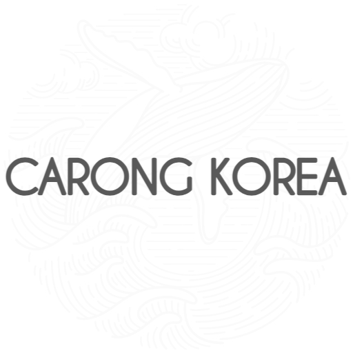 카롱코리아 - 상상할 수 없는 쾌적함 logo
