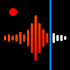 Voice Recorder & Voice Memos1.0.6.1 (Mod)