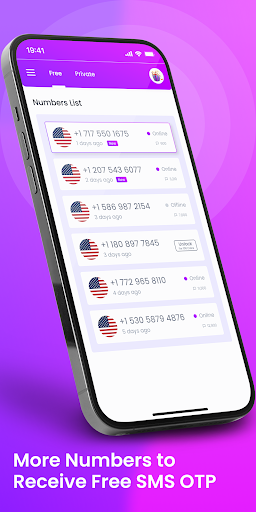 Receive SMS Online Screen 2