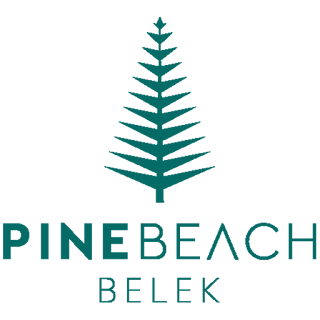 Pine Beach apk