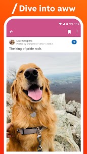 Reddit Apk app for Android 5