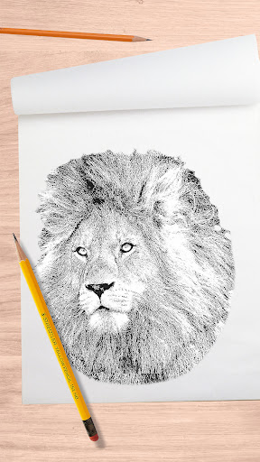 Android application Animals Drawing App screenshort