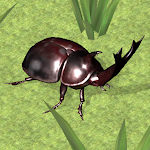 Cover Image of Скачать Симулятор битвы с жуками 3D  APK