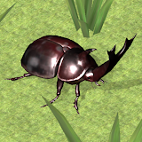 Bug Battle Simulator 3D icon