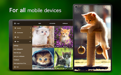 Screenshot of Kitten Wallpapers 4K