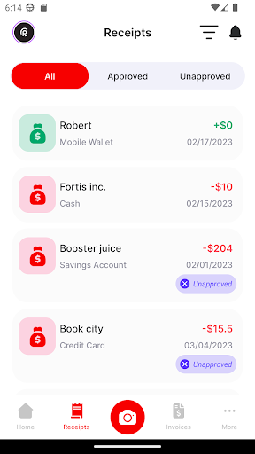 CPA Expense Tracker Screen 3