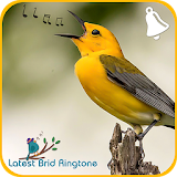 Bird Ringtones 2018 / Latest Bird Sounds 2018 icon