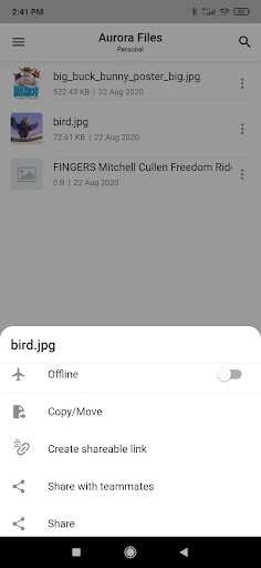 Aurora.Files Screen 3