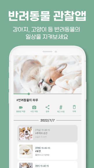 아이봄 - 중고폰을 홈CCTV 어플로 공기계 카메라_3