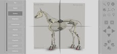 3D Horse Anatomyのおすすめ画像4