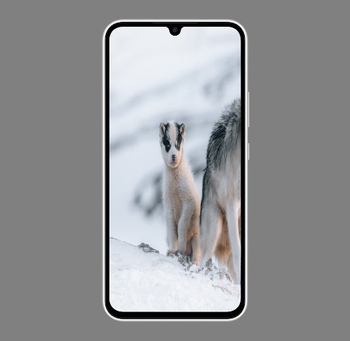 dog wallpaper 2024 Screen 3