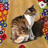 [Full HD] Kitty with Flowers icon