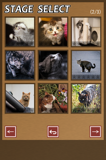 Android application Swapping Cat Puzzle screenshort