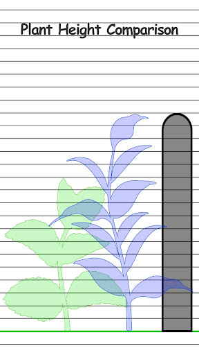 Height Measurement App screenshot 3
