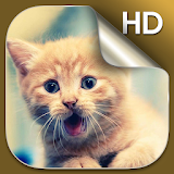 Kittens Live Wallpapers HD icon
