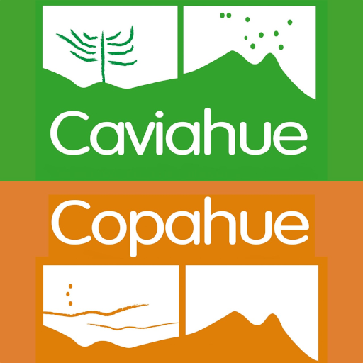 Caviahue Oficina Virtual logo