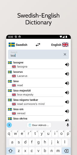 Swedish-English Dictionary Screen 3