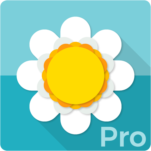 Step Flowers Pro 2.0 Icon