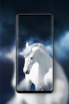 Best Horse Wallpapers HDのおすすめ画像1